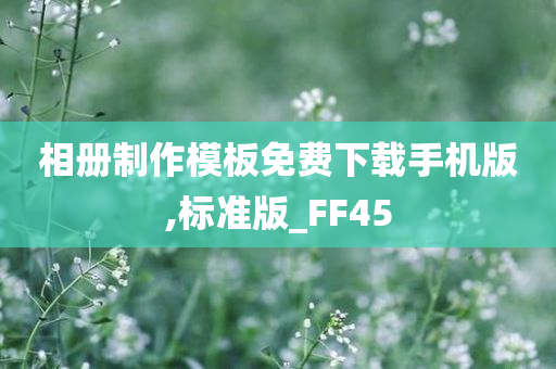 相册制作模板免费下载手机版,标准版_FF45