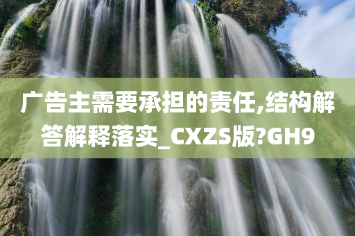 广告主需要承担的责任,结构解答解释落实_CXZS版?GH9