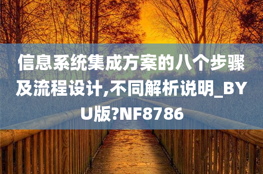 信息系统集成方案的八个步骤及流程设计,不同解析说明_BYU版?NF8786