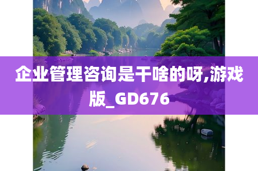 企业管理咨询是干啥的呀,游戏版_GD676