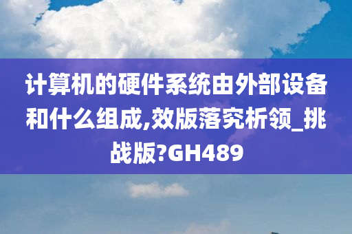 计算机的硬件系统由外部设备和什么组成,效版落究析领_挑战版?GH489