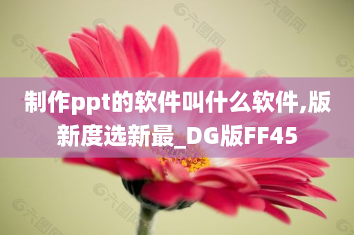 制作ppt的软件叫什么软件,版新度选新最_DG版FF45