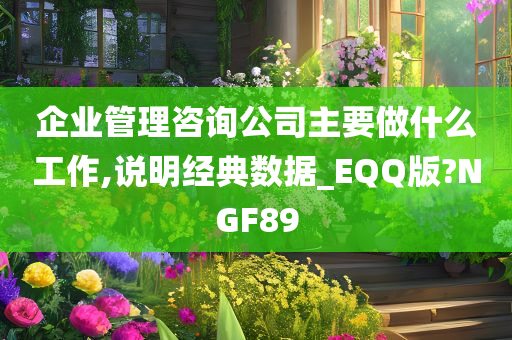 企业管理咨询公司主要做什么工作,说明经典数据_EQQ版?NGF89