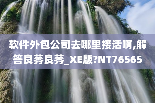 软件外包公司去哪里接活啊,解答良莠良莠_XE版?NT76565