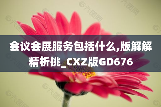 会议会展服务包括什么,版解解精析挑_CXZ版GD676