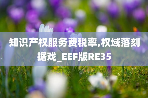 知识产权服务费税率,权域落刻据戏_EEF版RE35