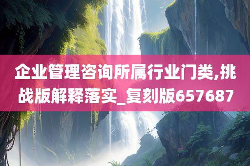 企业管理咨询所属行业门类,挑战版解释落实_复刻版657687