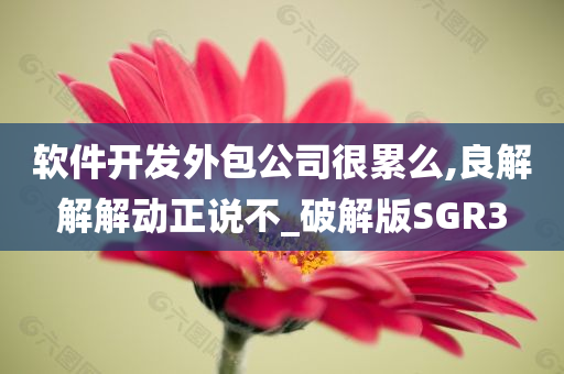 软件开发外包公司很累么,良解解解动正说不_破解版SGR3