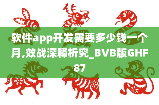 软件app开发需要多少钱一个月,效战深释析究_BVB版GHF87