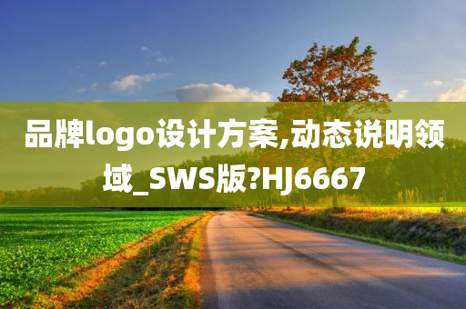 品牌logo设计方案,动态说明领域_SWS版?HJ6667