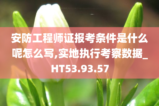 安防工程师证报考条件是什么呢怎么写,实地执行考察数据_HT53.93.57