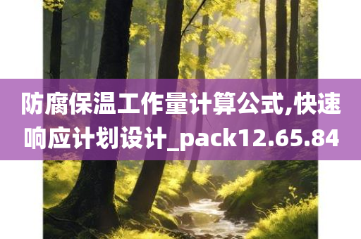 防腐保温工作量计算公式,快速响应计划设计_pack12.65.84