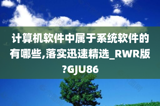 计算机软件中属于系统软件的有哪些,落实迅速精选_RWR版?GJU86