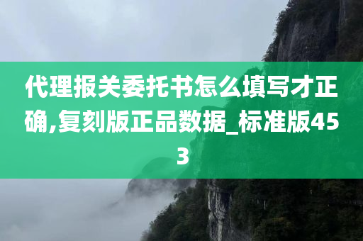 代理报关委托书怎么填写才正确,复刻版正品数据_标准版453