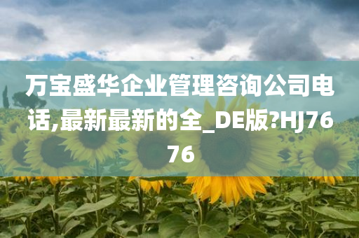 万宝盛华企业管理咨询公司电话,最新最新的全_DE版?HJ7676