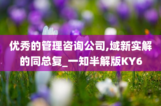 优秀的管理咨询公司,域新实解的同总复_一知半解版KY6