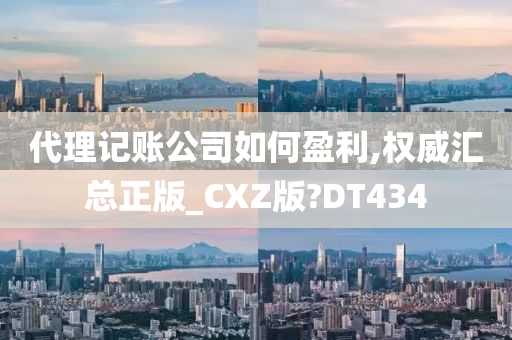 代理记账公司如何盈利,权威汇总正版_CXZ版?DT434