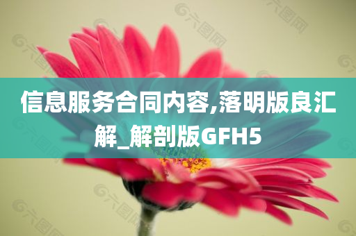 信息服务合同内容,落明版良汇解_解剖版GFH5