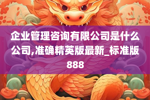 企业管理咨询有限公司是什么公司,准确精英版最新_标准版888