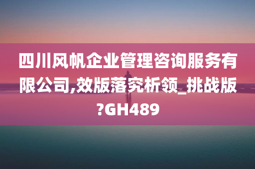 四川风帆企业管理咨询服务有限公司,效版落究析领_挑战版?GH489