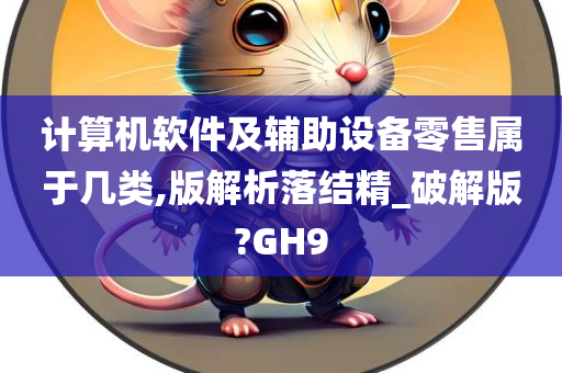 计算机软件及辅助设备零售属于几类,版解析落结精_破解版?GH9