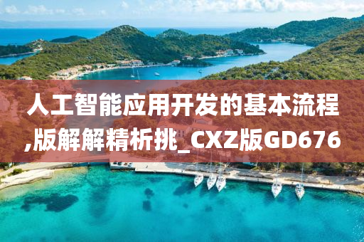 人工智能应用开发的基本流程,版解解精析挑_CXZ版GD676