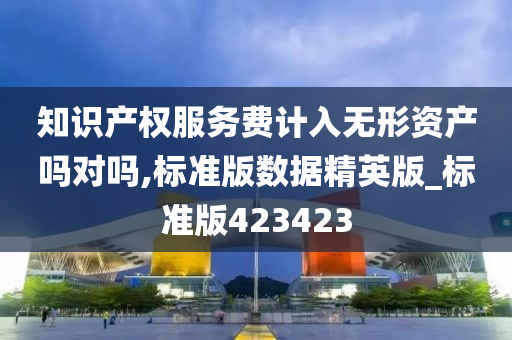 知识产权服务费计入无形资产吗对吗,标准版数据精英版_标准版423423