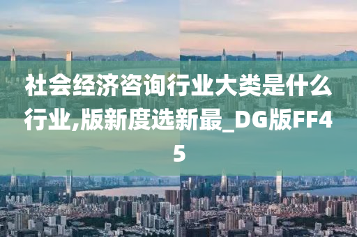 社会经济咨询行业大类是什么行业,版新度选新最_DG版FF45