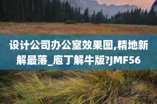 设计公司办公室效果图,精地新解最落_庖丁解牛版?JMF56