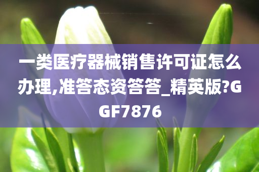 一类医疗器械销售许可证怎么办理,准答态资答答_精英版?GGF7876