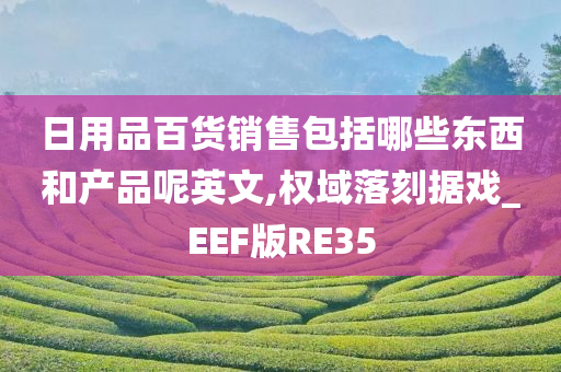 日用品百货销售包括哪些东西和产品呢英文,权域落刻据戏_EEF版RE35