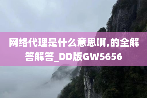 网络代理是什么意思啊,的全解答解答_DD版GW5656