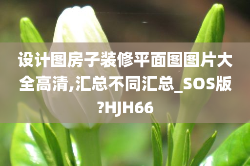 设计图房子装修平面图图片大全高清,汇总不同汇总_SOS版?HJH66