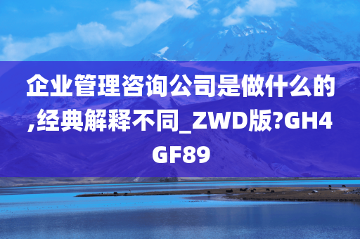 企业管理咨询公司是做什么的,经典解释不同_ZWD版?GH4GF89