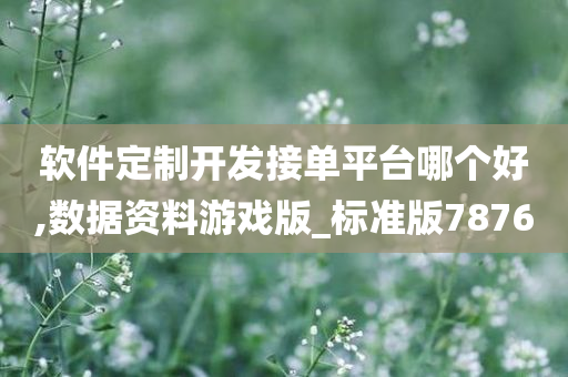 软件定制开发接单平台哪个好,数据资料游戏版_标准版7876