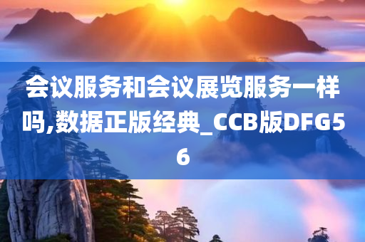 会议服务和会议展览服务一样吗,数据正版经典_CCB版DFG56