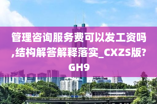 管理咨询服务费可以发工资吗,结构解答解释落实_CXZS版?GH9