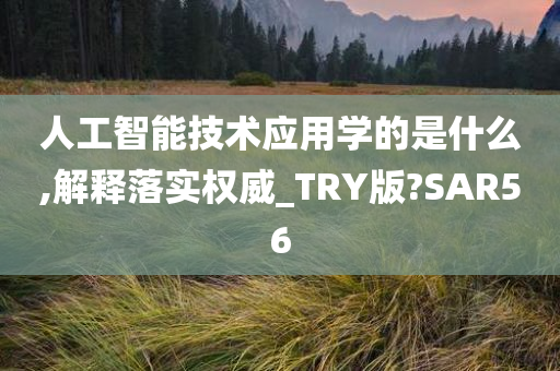 人工智能技术应用学的是什么,解释落实权威_TRY版?SAR56