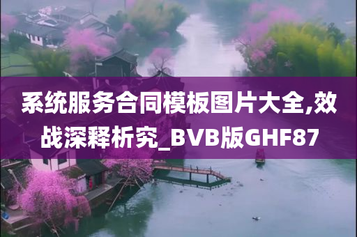 系统服务合同模板图片大全,效战深释析究_BVB版GHF87