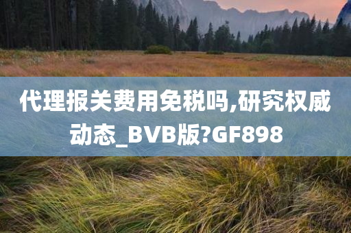 代理报关费用免税吗,研究权威动态_BVB版?GF898