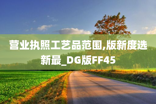 营业执照工艺品范围,版新度选新最_DG版FF45