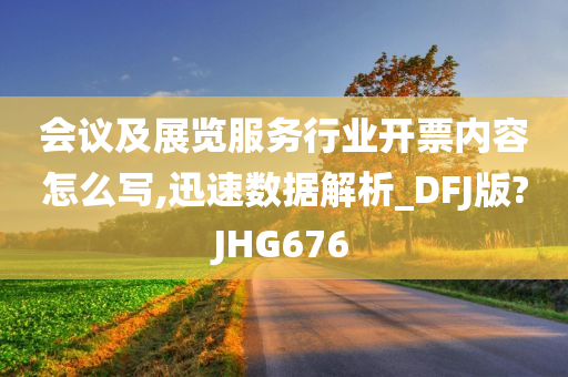 会议及展览服务行业开票内容怎么写,迅速数据解析_DFJ版?JHG676