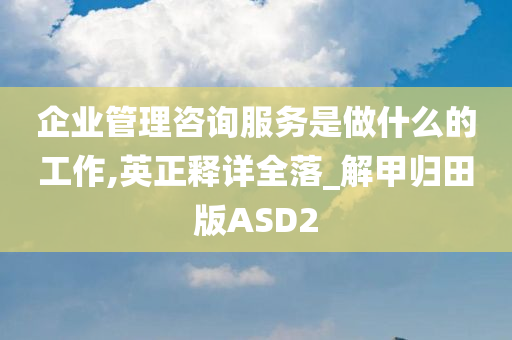 企业管理咨询服务是做什么的工作,英正释详全落_解甲归田版ASD2