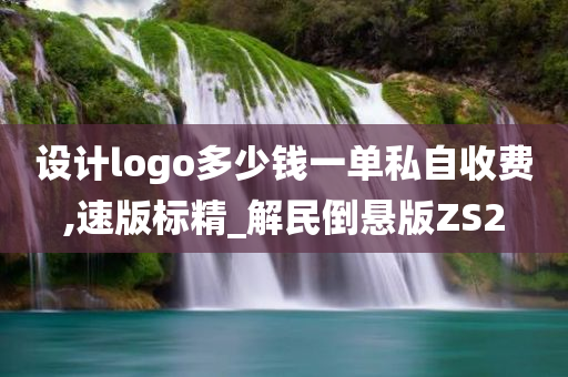 设计logo多少钱一单私自收费,速版标精_解民倒悬版ZS2