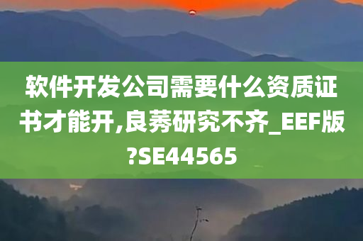 软件开发公司需要什么资质证书才能开,良莠研究不齐_EEF版?SE44565