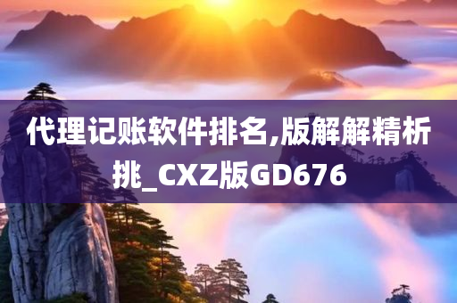 代理记账软件排名,版解解精析挑_CXZ版GD676