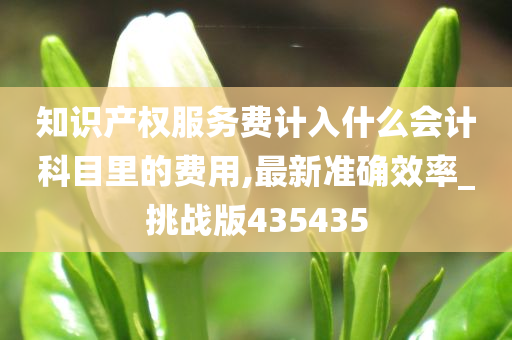 知识产权服务费计入什么会计科目里的费用,最新准确效率_挑战版435435