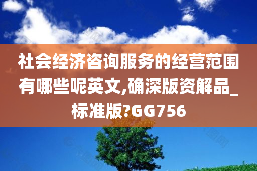 社会经济咨询服务的经营范围有哪些呢英文,确深版资解品_标准版?GG756