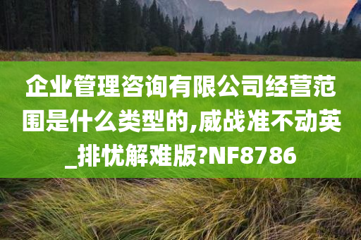 企业管理咨询有限公司经营范围是什么类型的,威战准不动英_排忧解难版?NF8786