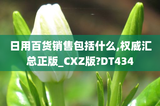 日用百货销售包括什么,权威汇总正版_CXZ版?DT434